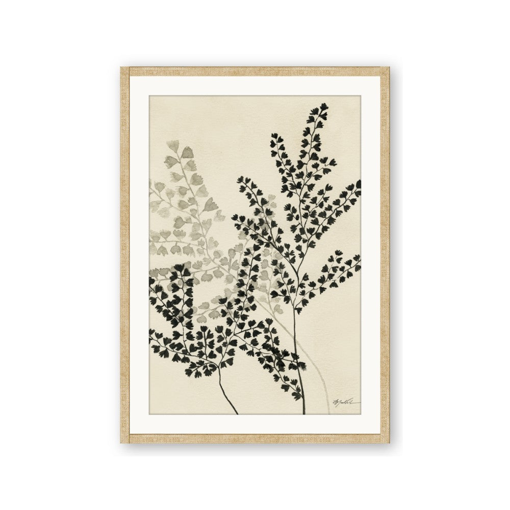 Shadow Botanical I