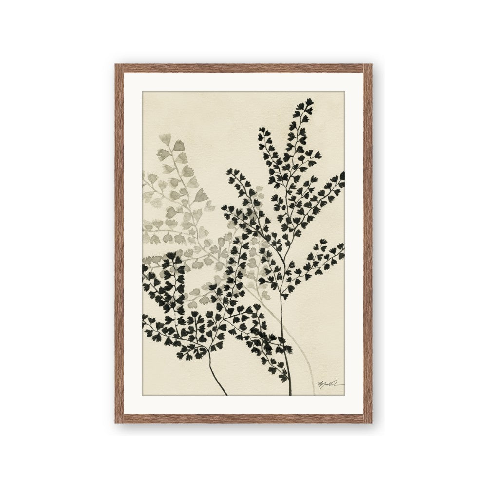 Shadow Botanical I