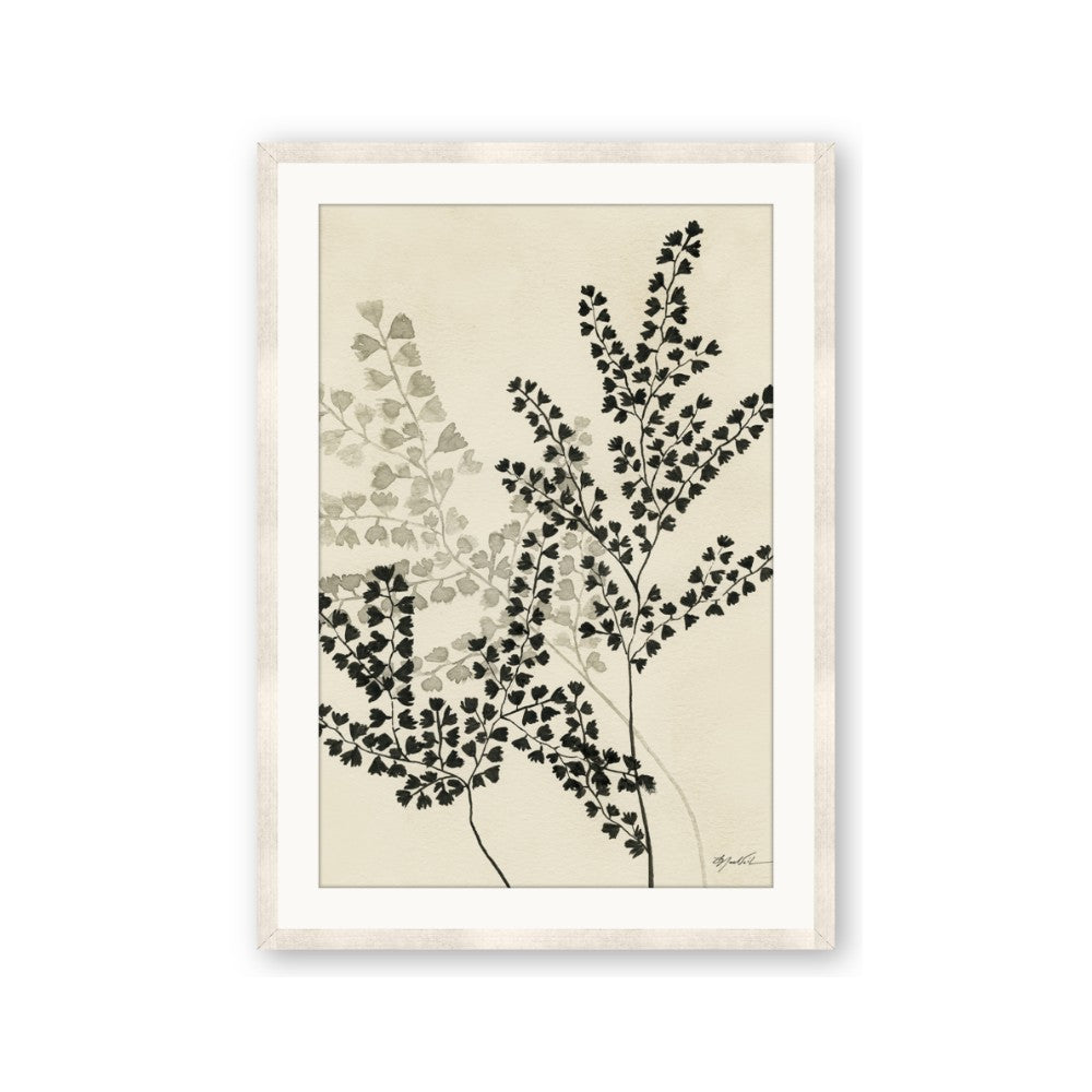 Shadow Botanical I