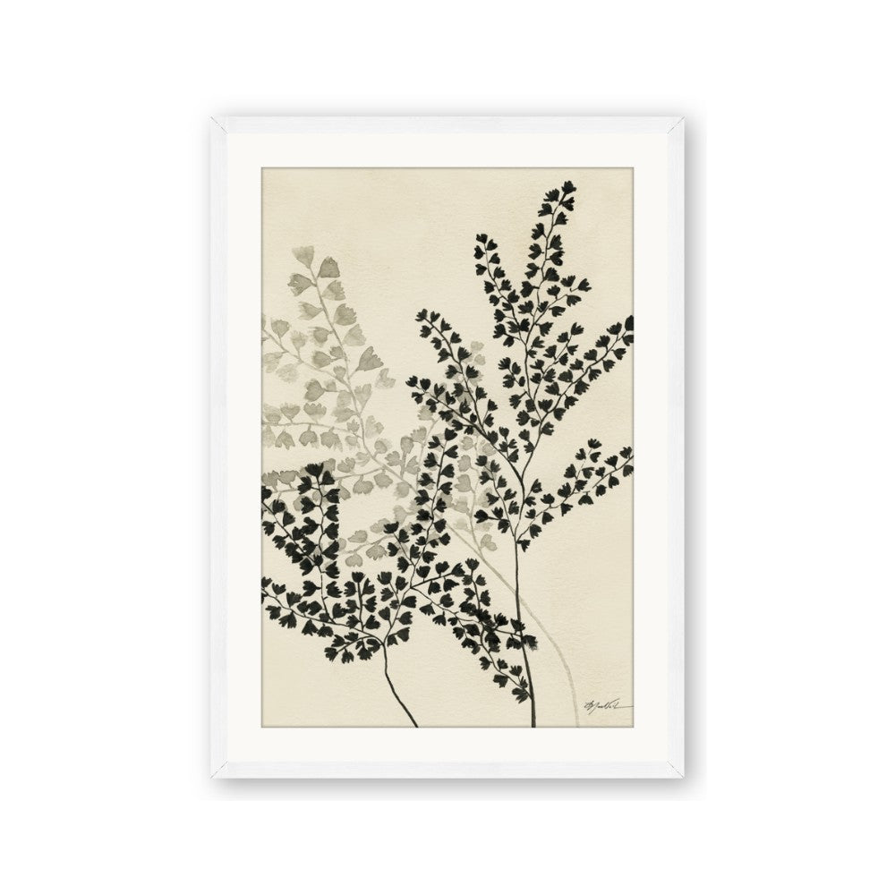Shadow Botanical I
