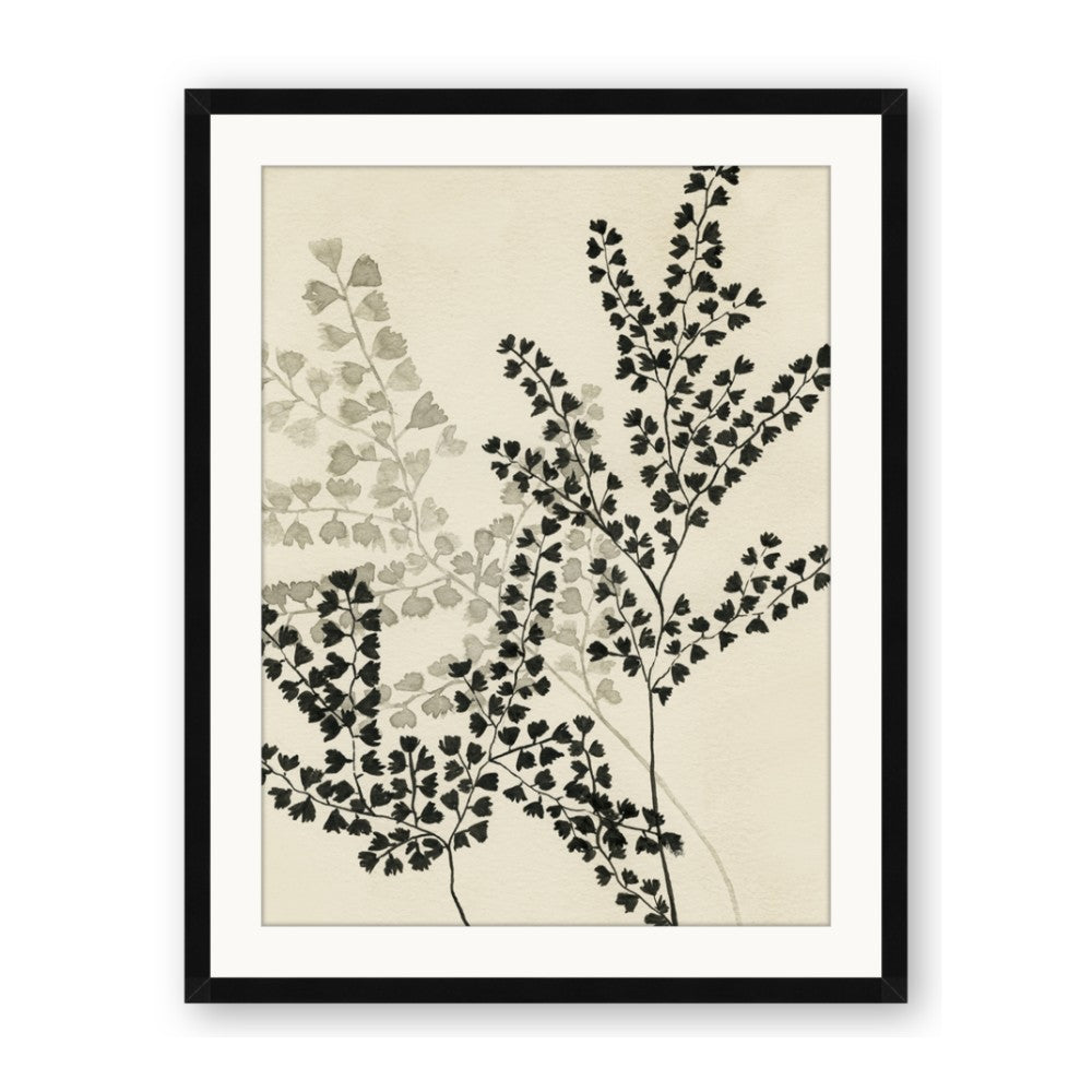 Shadow Botanical I