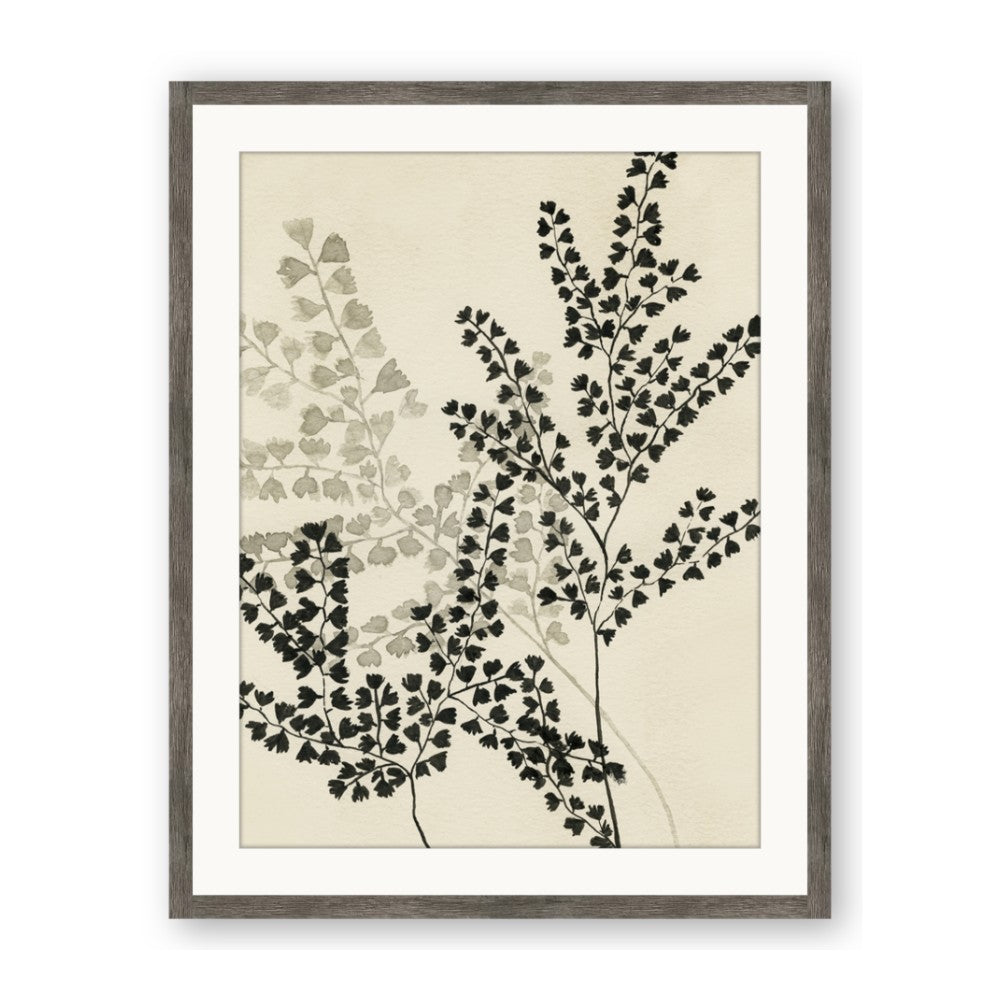 Shadow Botanical I