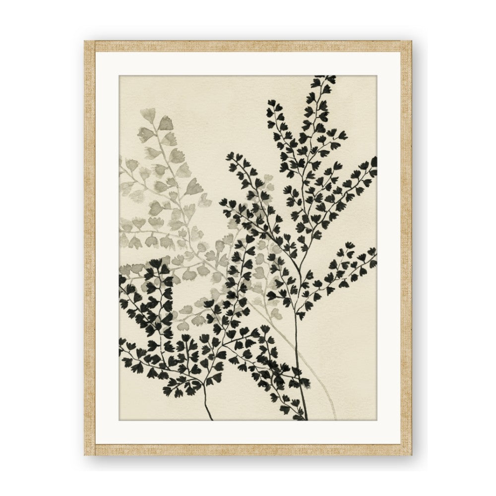 Shadow Botanical I