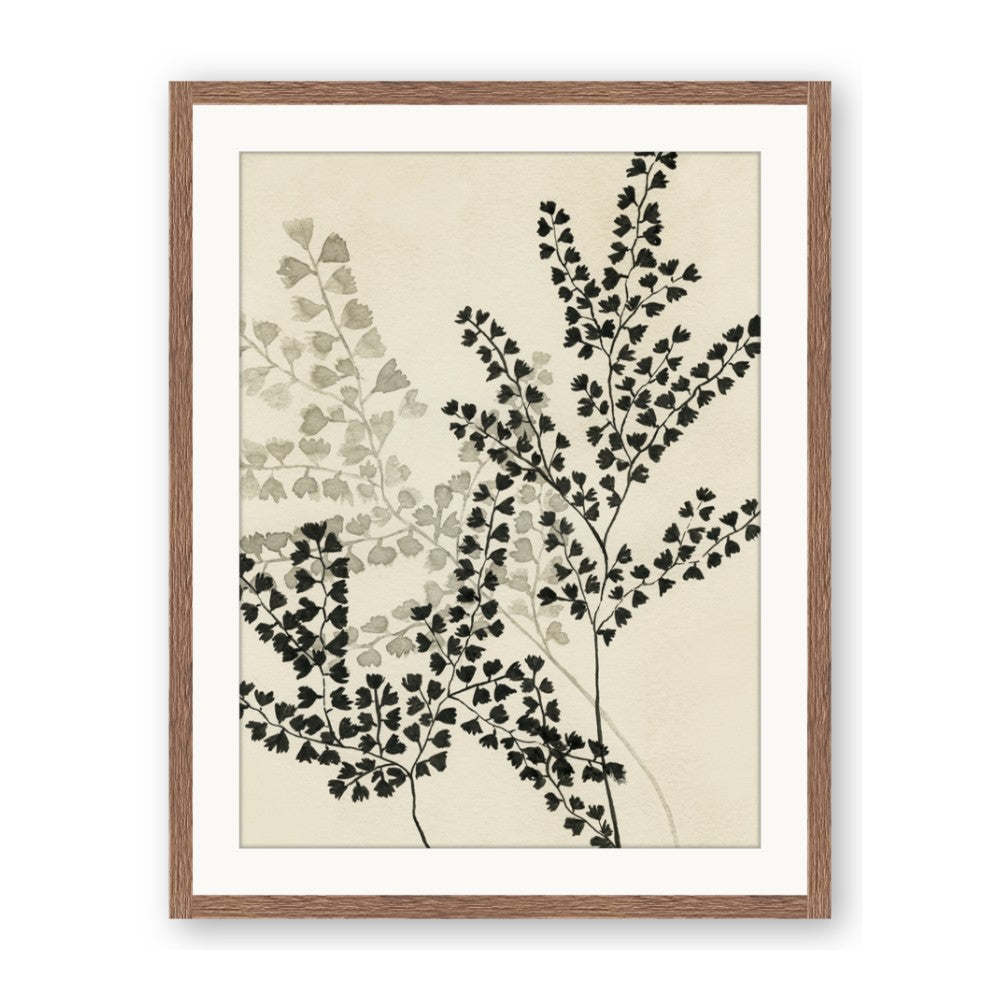 Shadow Botanical I
