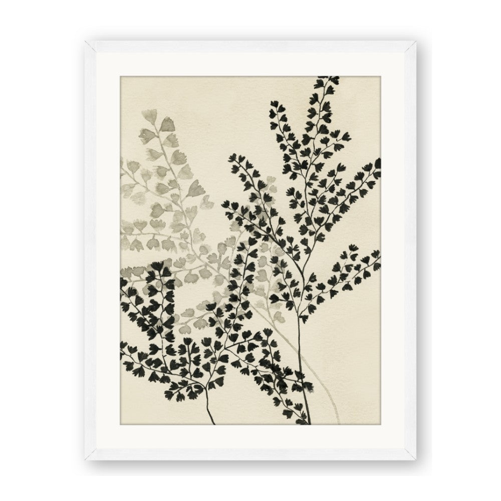 Shadow Botanical I
