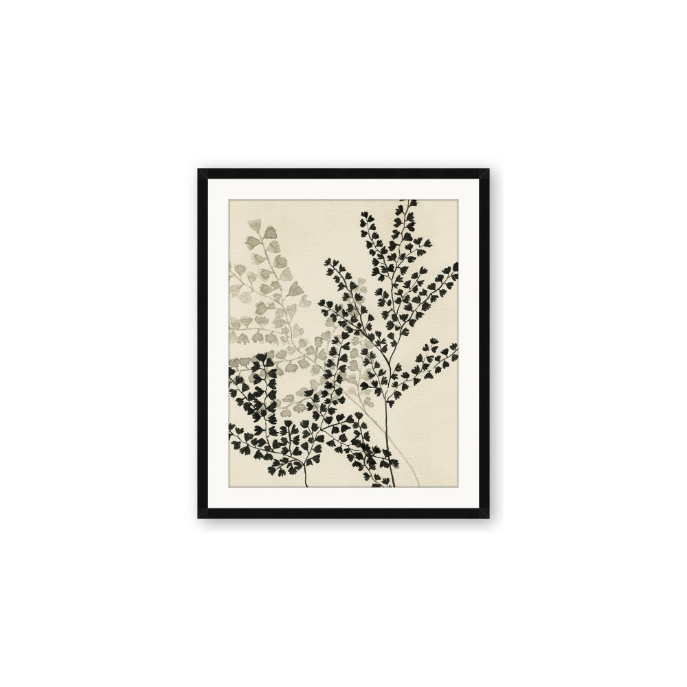 Shadow Botanical I