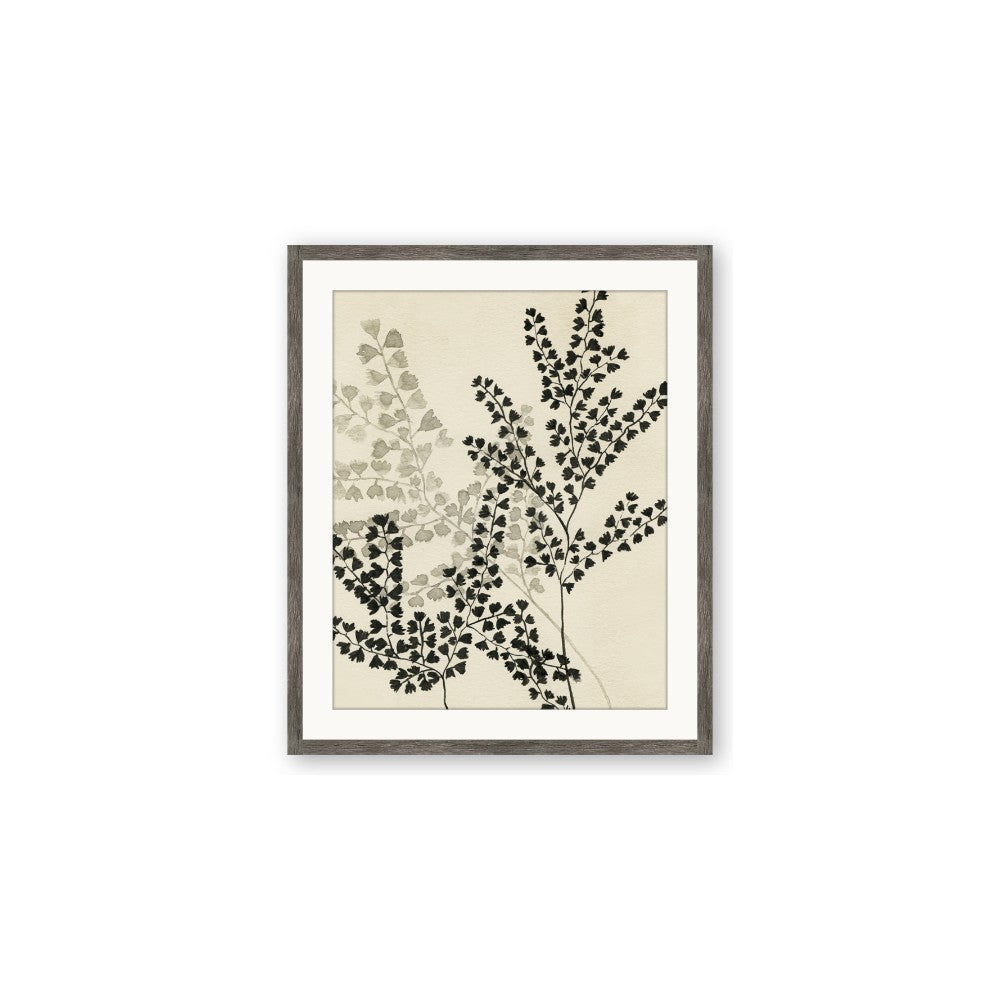 Shadow Botanical I