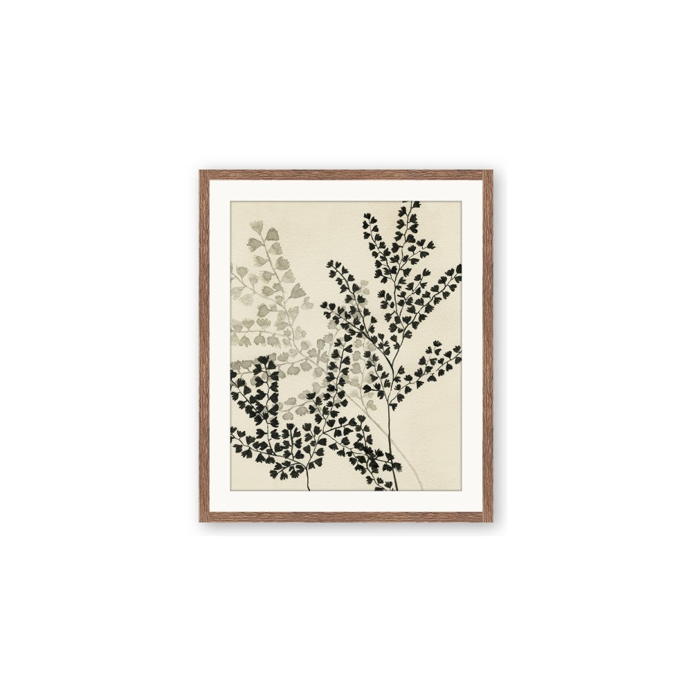 Shadow Botanical I