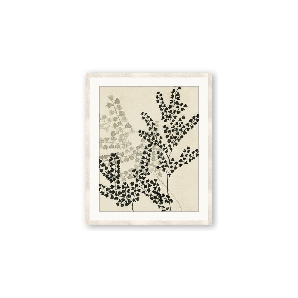 Shadow Botanical I