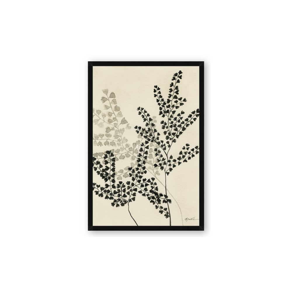 Shadow Botanical I