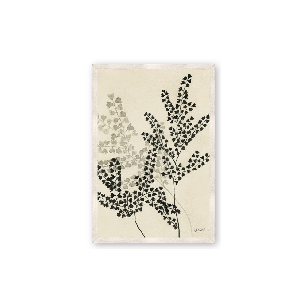 Shadow Botanical I