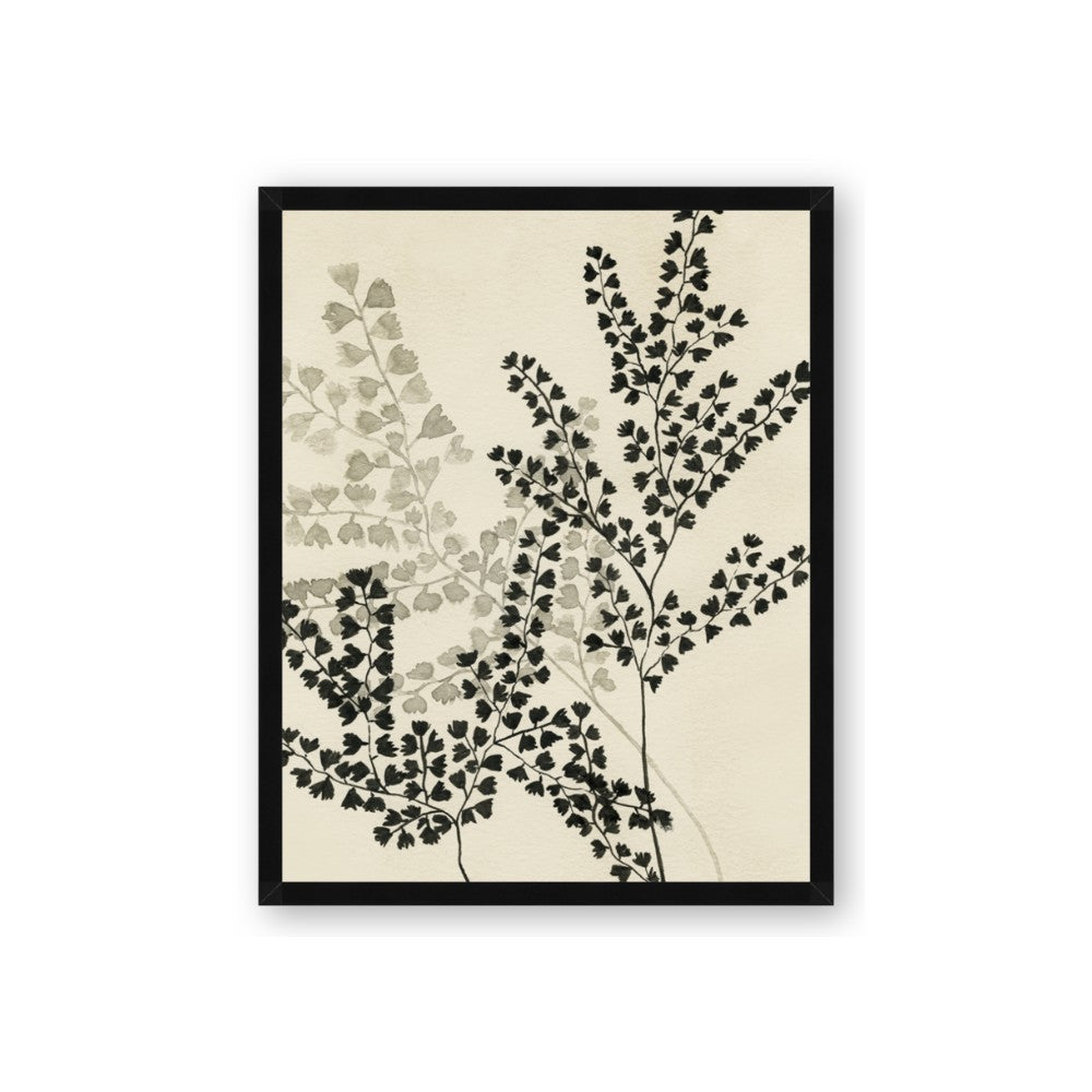 Shadow Botanical I