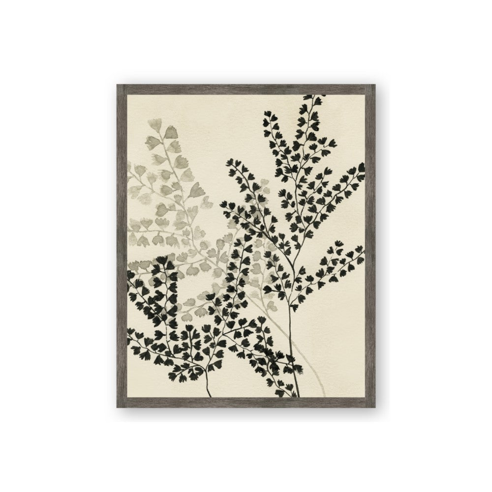 Shadow Botanical I