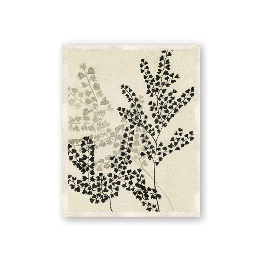 Shadow Botanical I