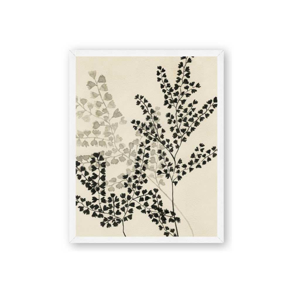Shadow Botanical I