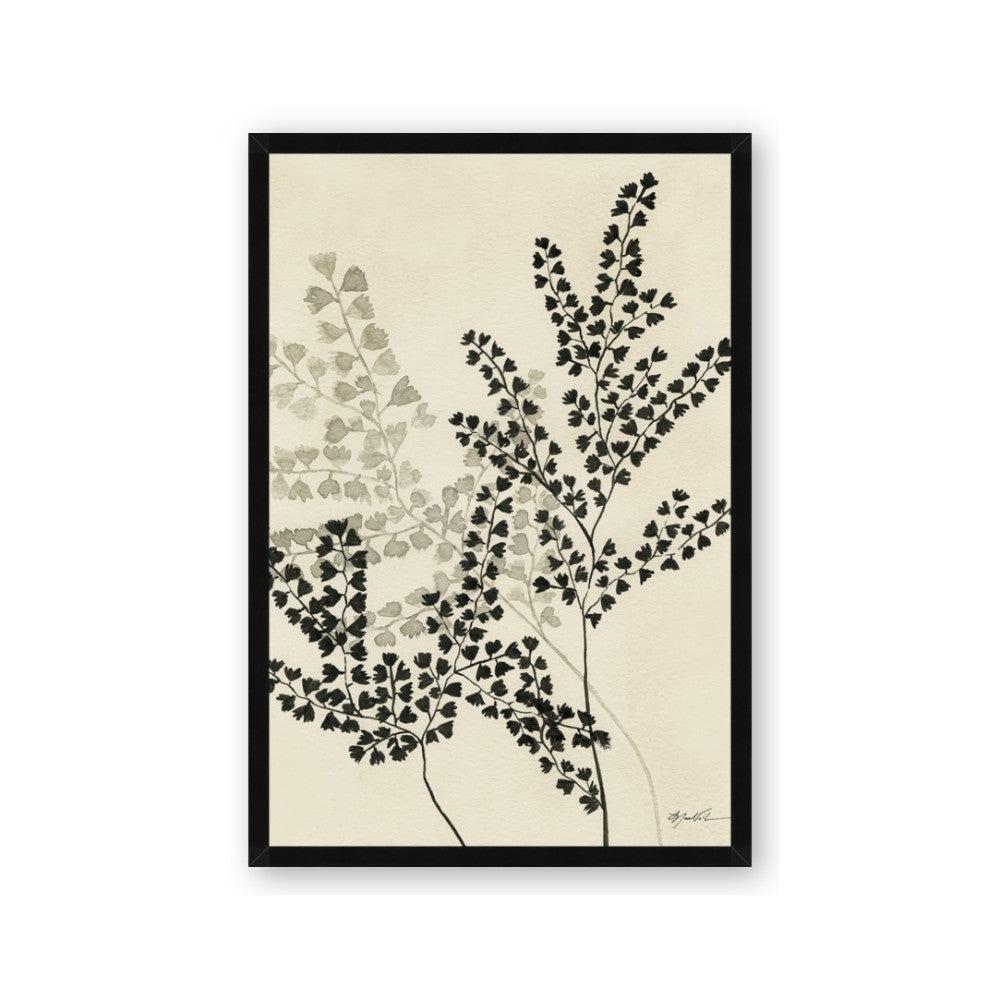 Shadow Botanical I