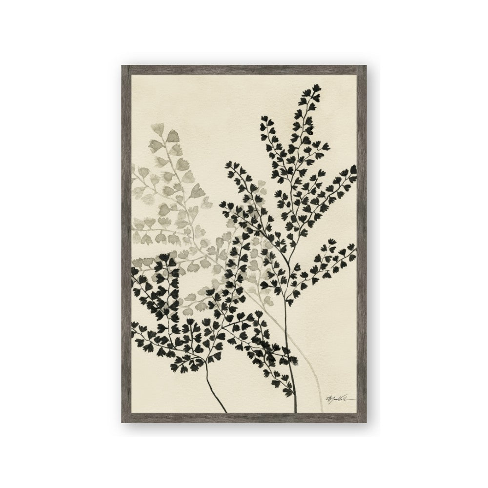 Shadow Botanical I