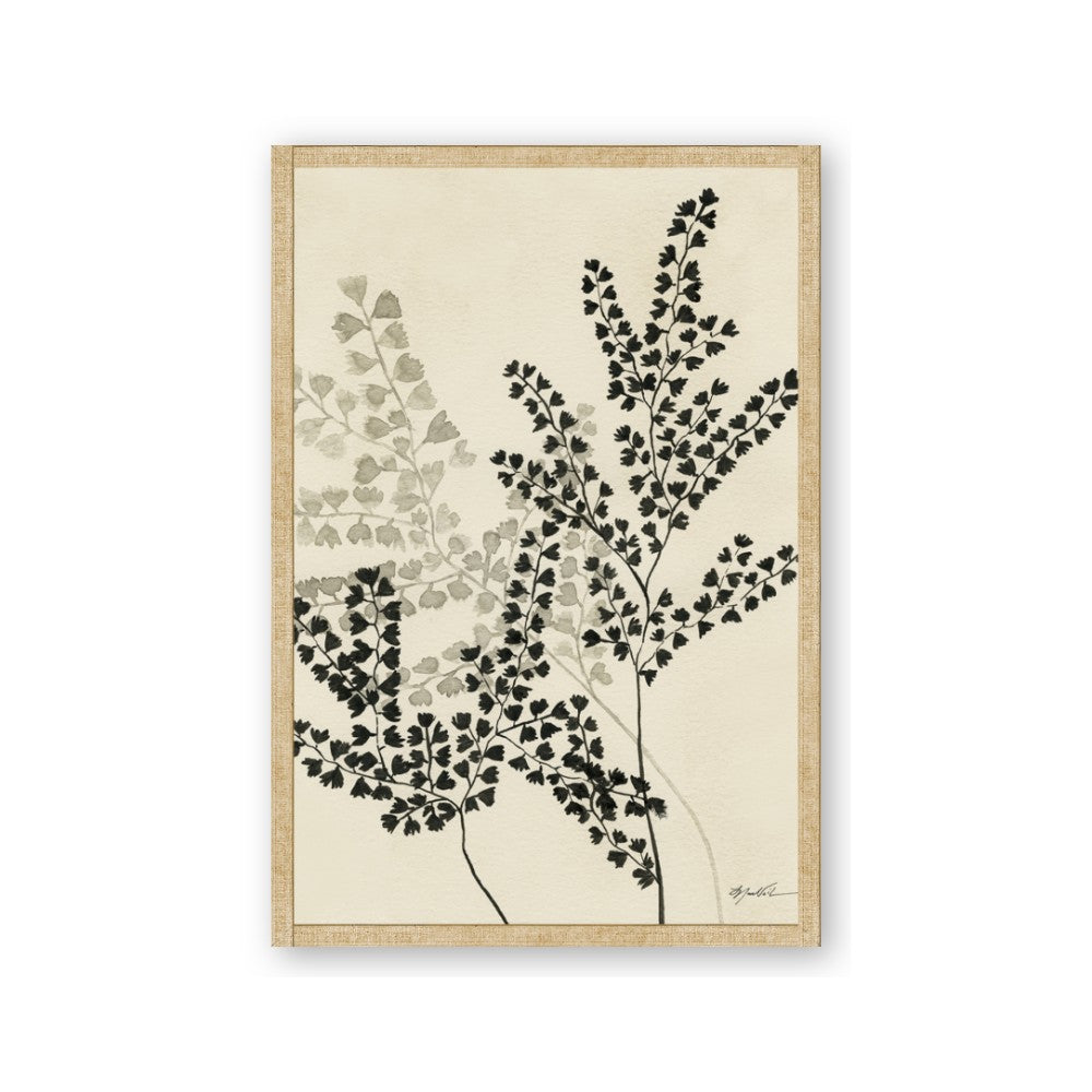 Shadow Botanical I