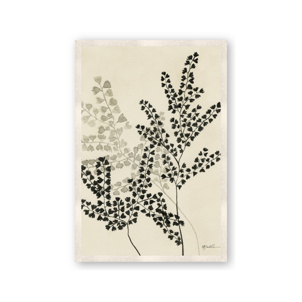 Shadow Botanical I