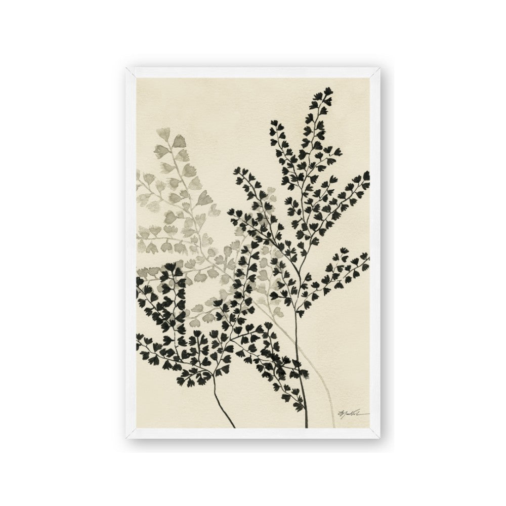 Shadow Botanical I