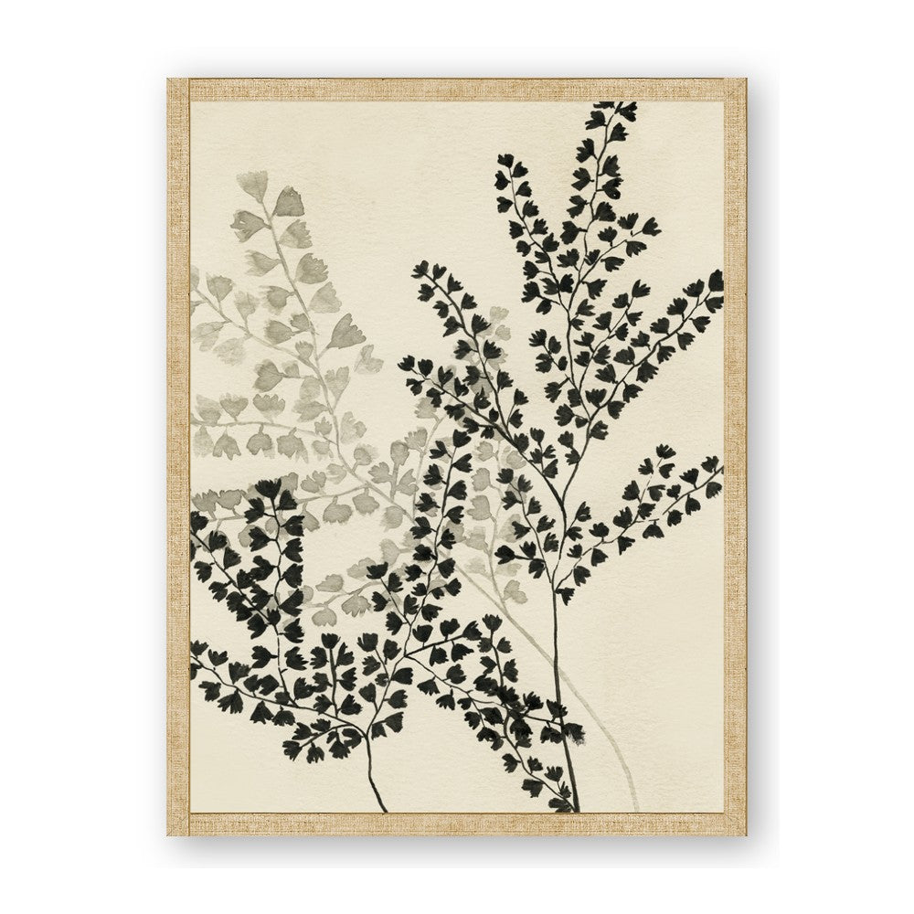 Shadow Botanical I