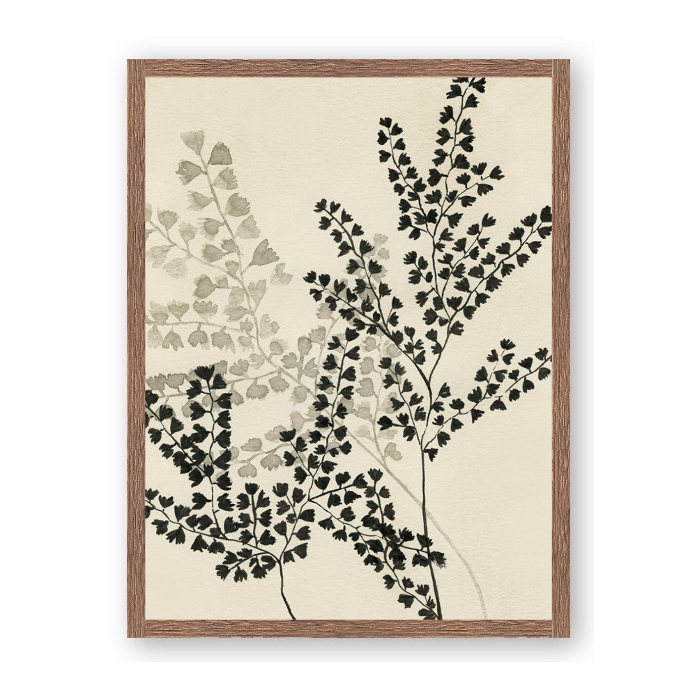 Shadow Botanical I