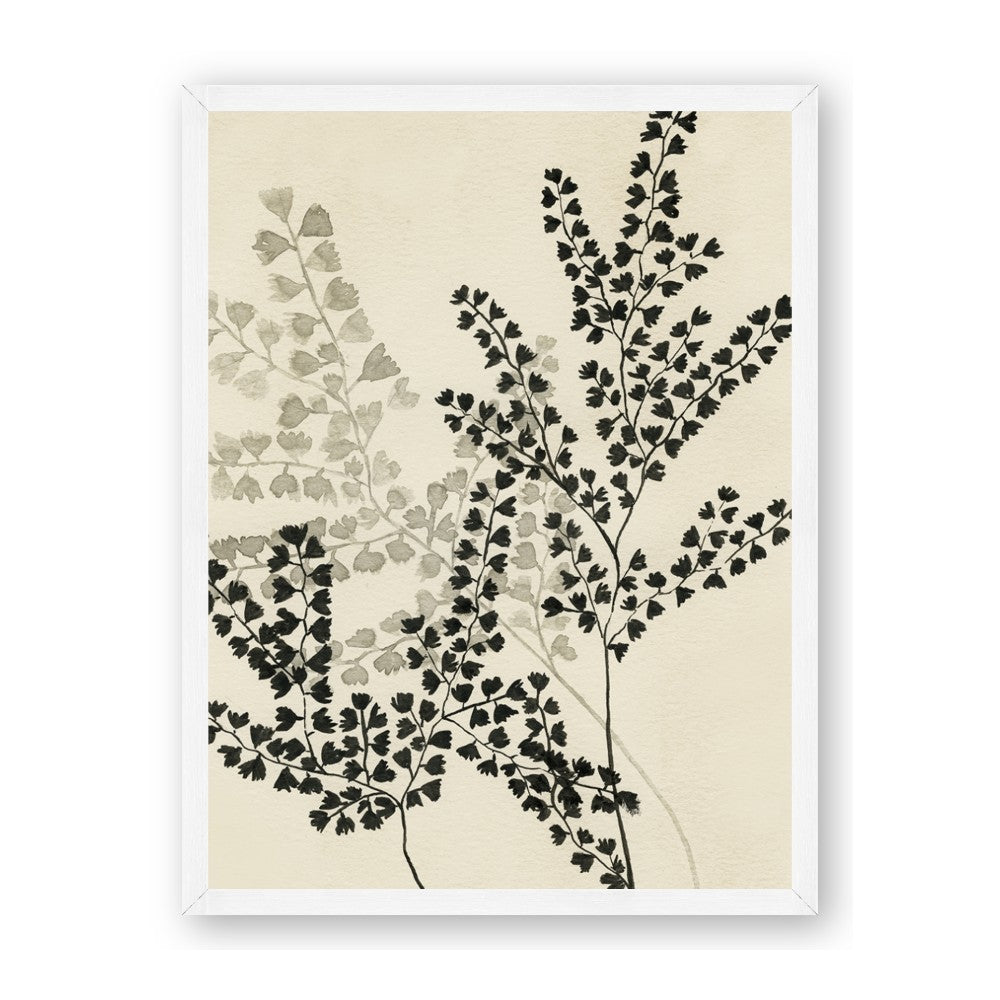 Shadow Botanical I