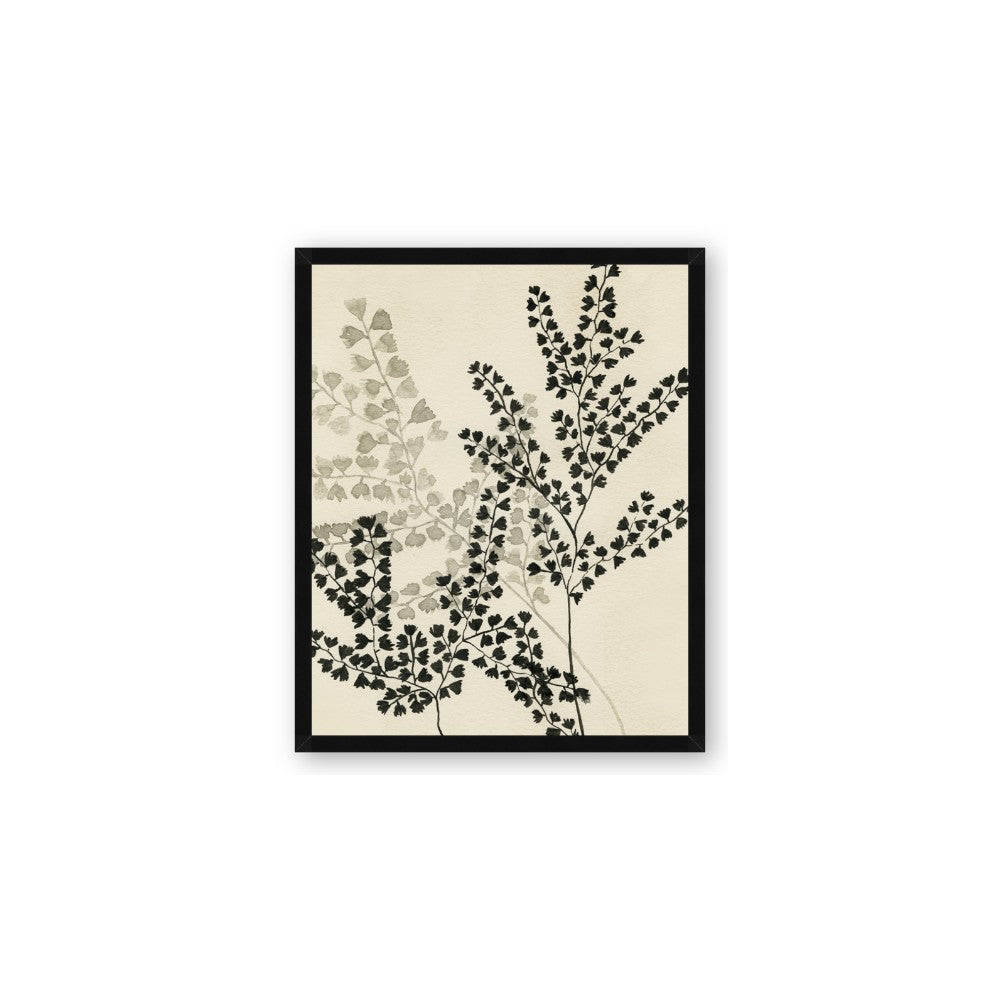 Shadow Botanical I