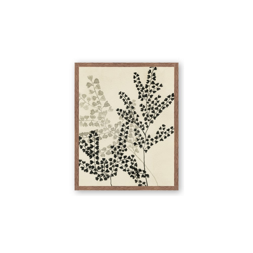 Shadow Botanical I