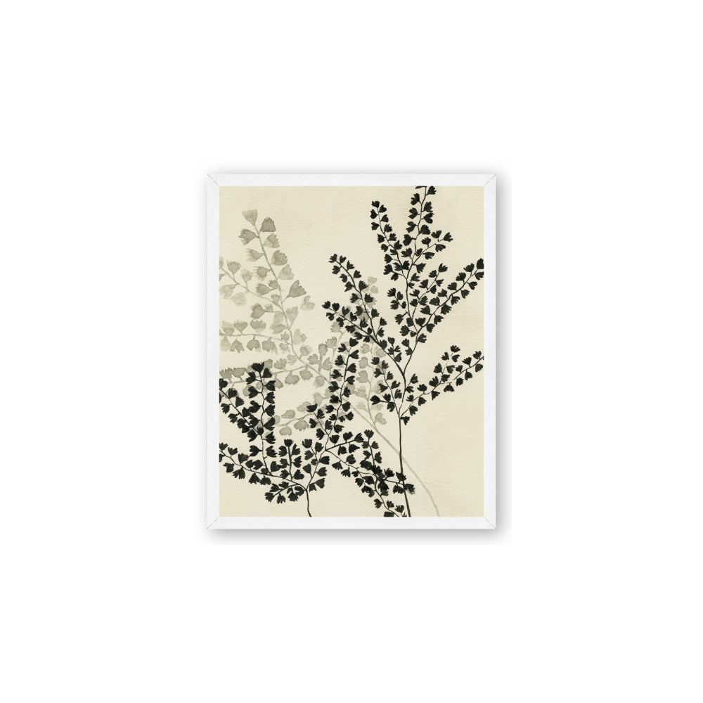 Shadow Botanical I