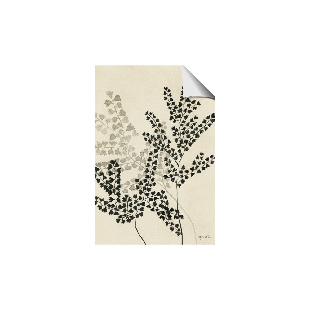 Shadow Botanical I