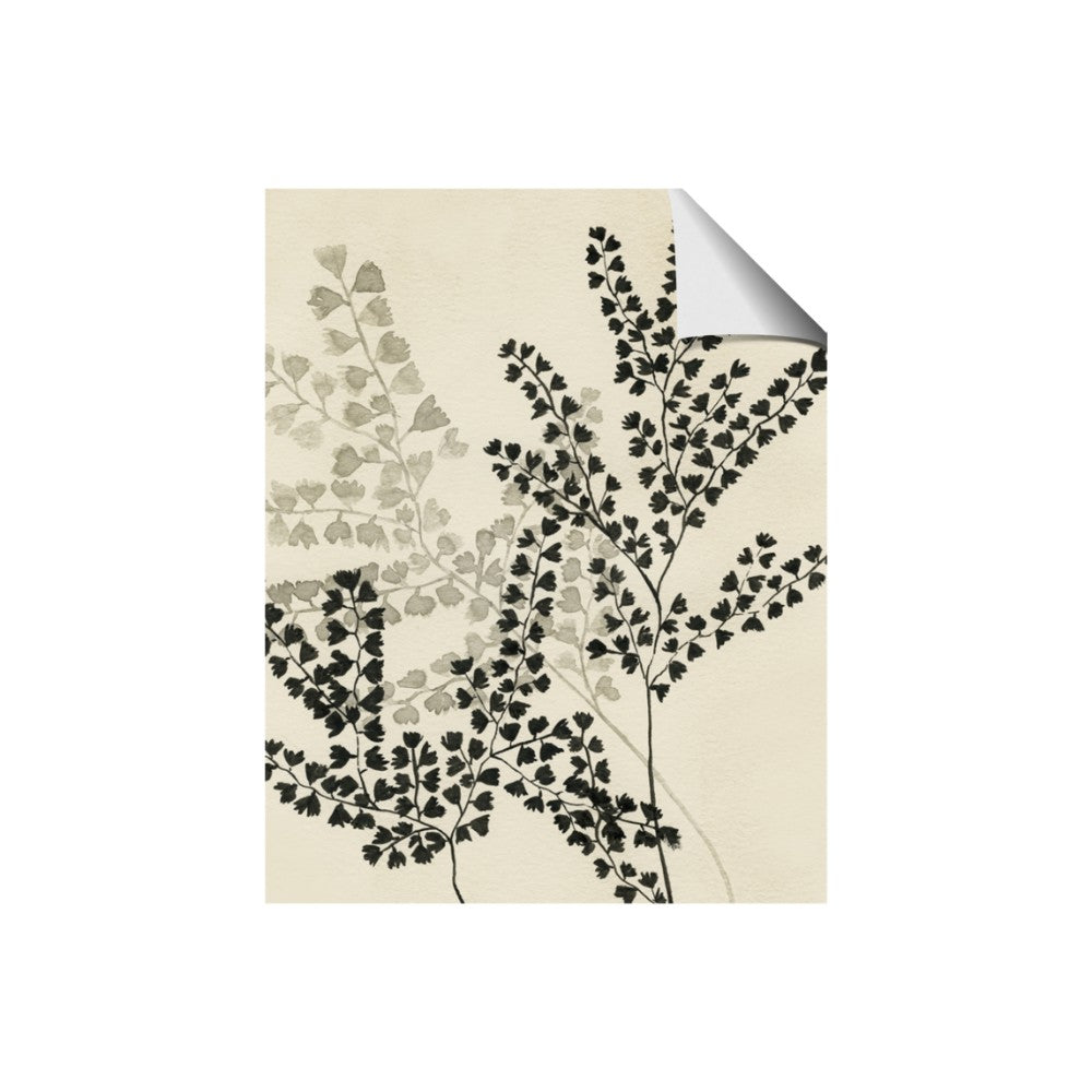 Shadow Botanical I