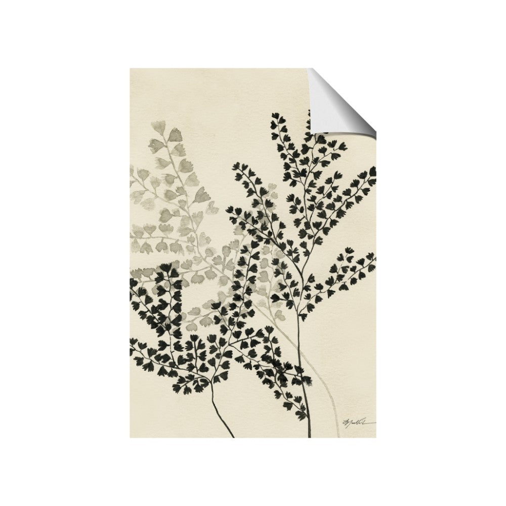 Shadow Botanical I