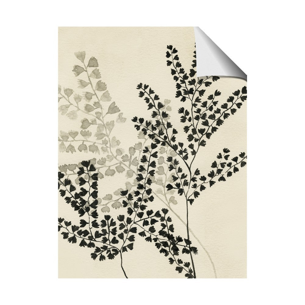 Shadow Botanical I