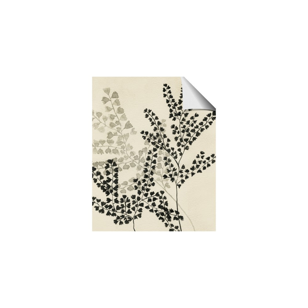 Shadow Botanical I