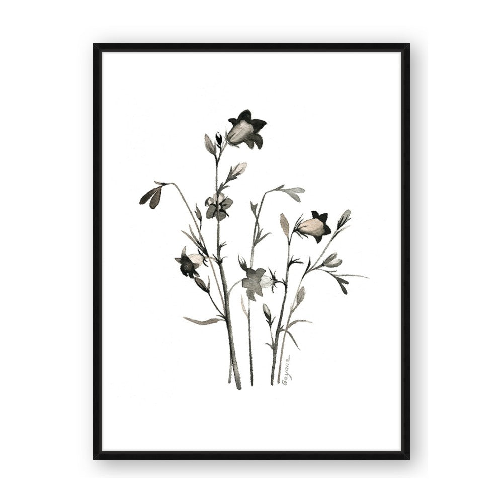 Black Botanical II