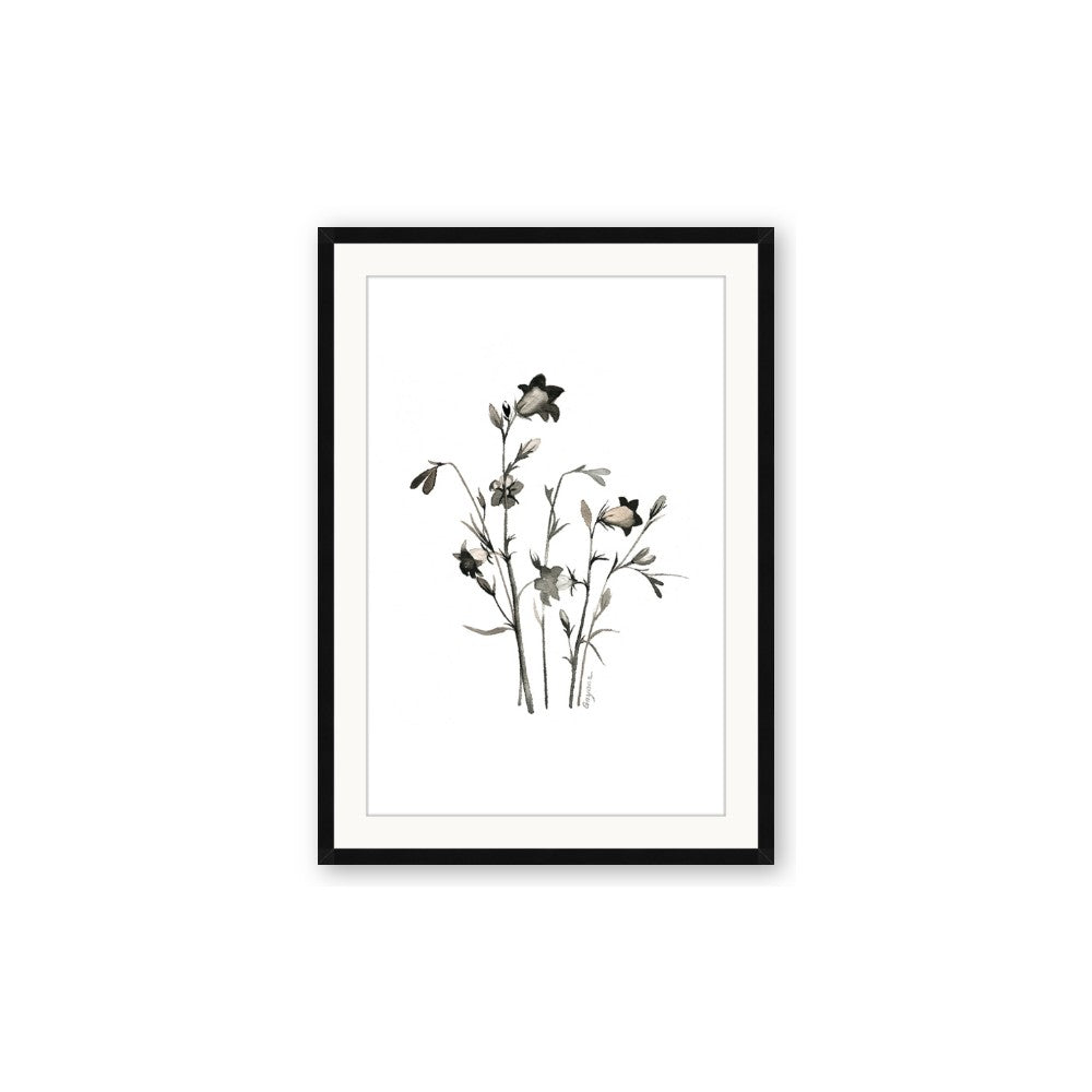 Black Botanical II