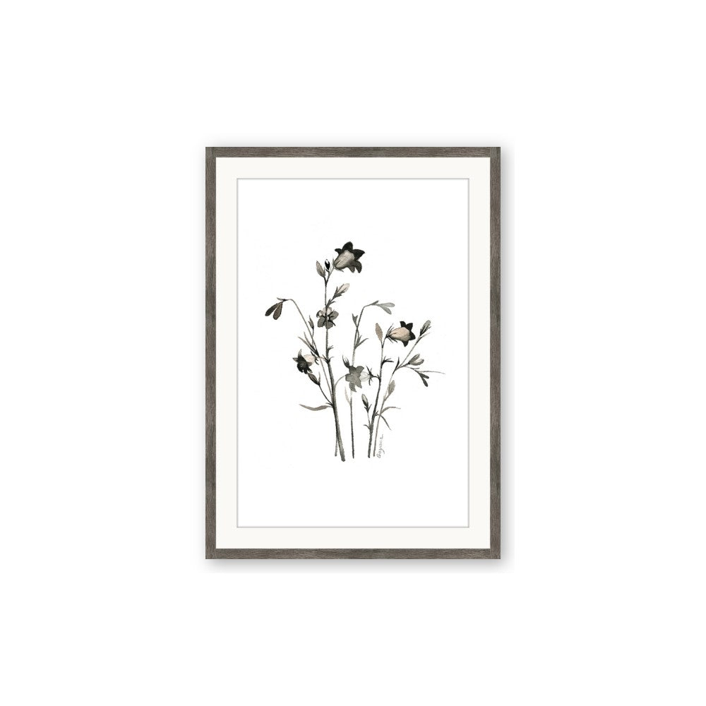 Black Botanical II