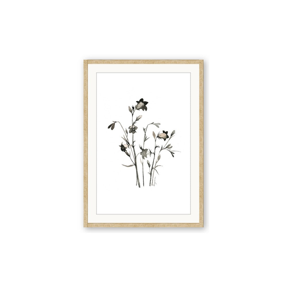 Black Botanical II