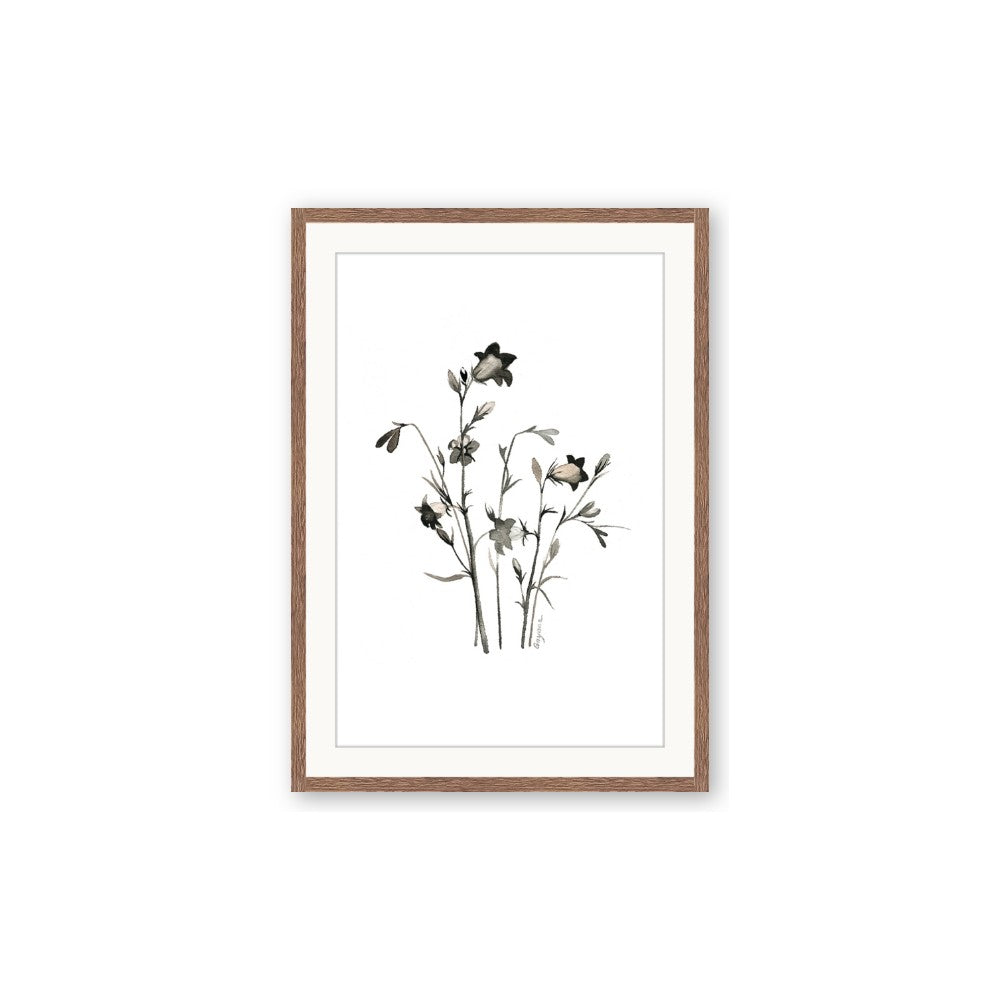 Black Botanical II