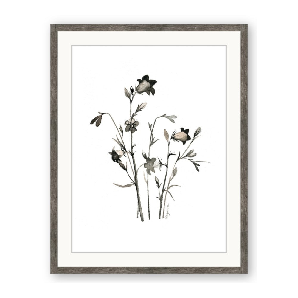 Black Botanical II