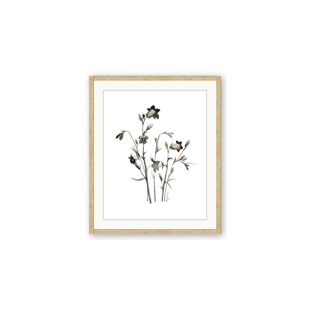 Black Botanical II
