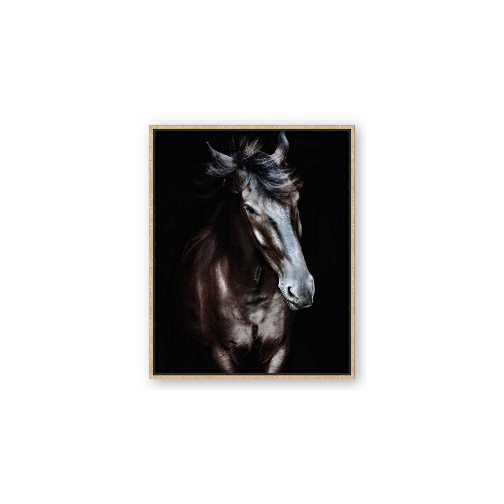 Black Stallion