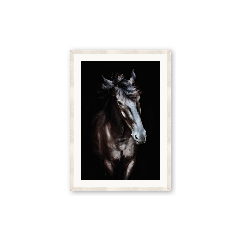 Black Stallion