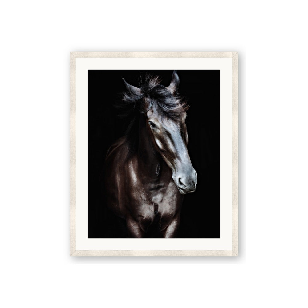 Black Stallion