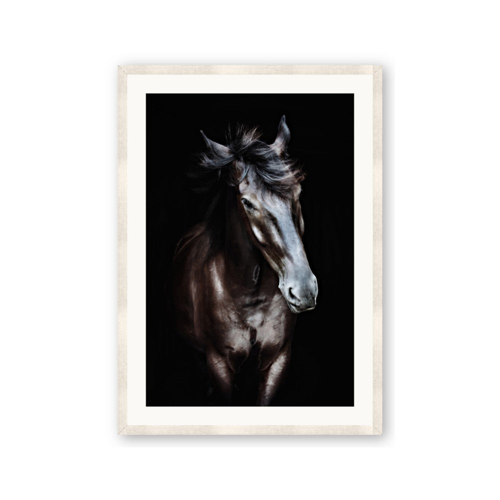 Black Stallion