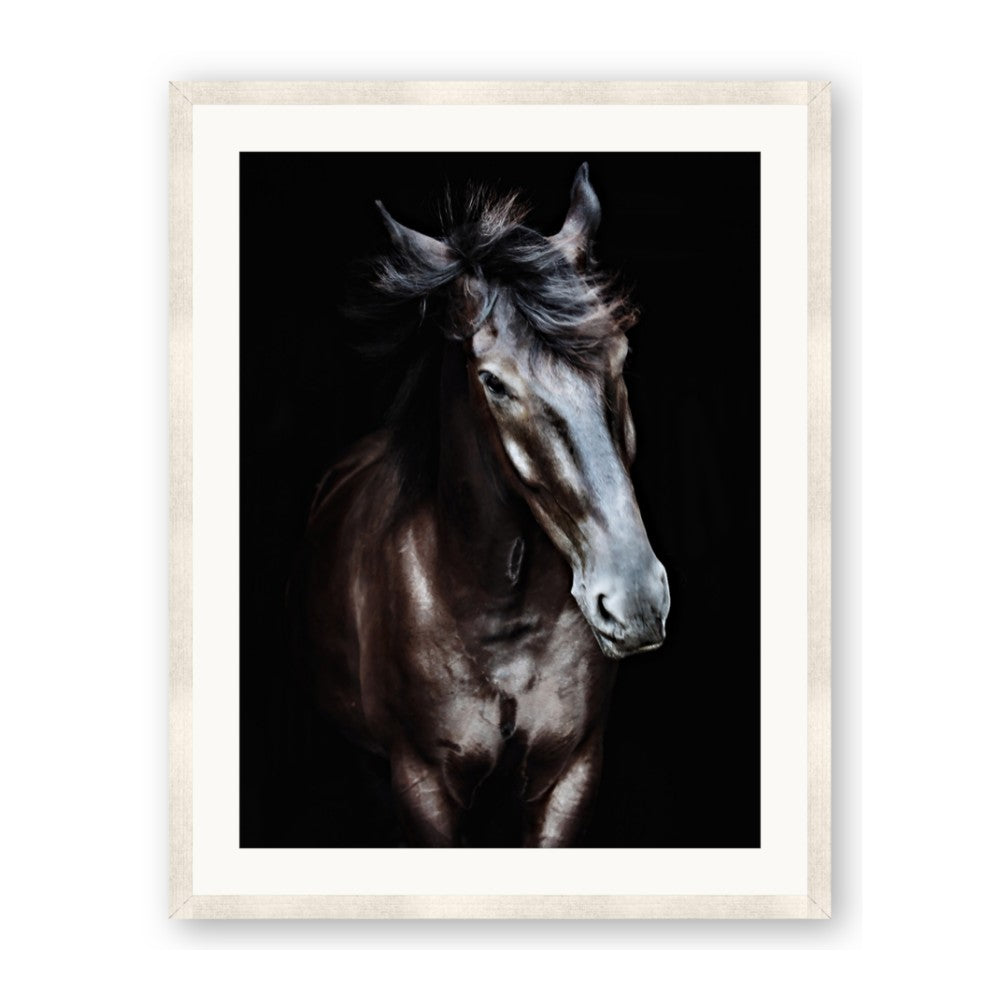 Black Stallion