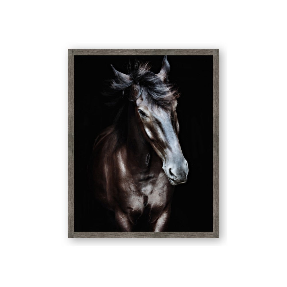 Black Stallion