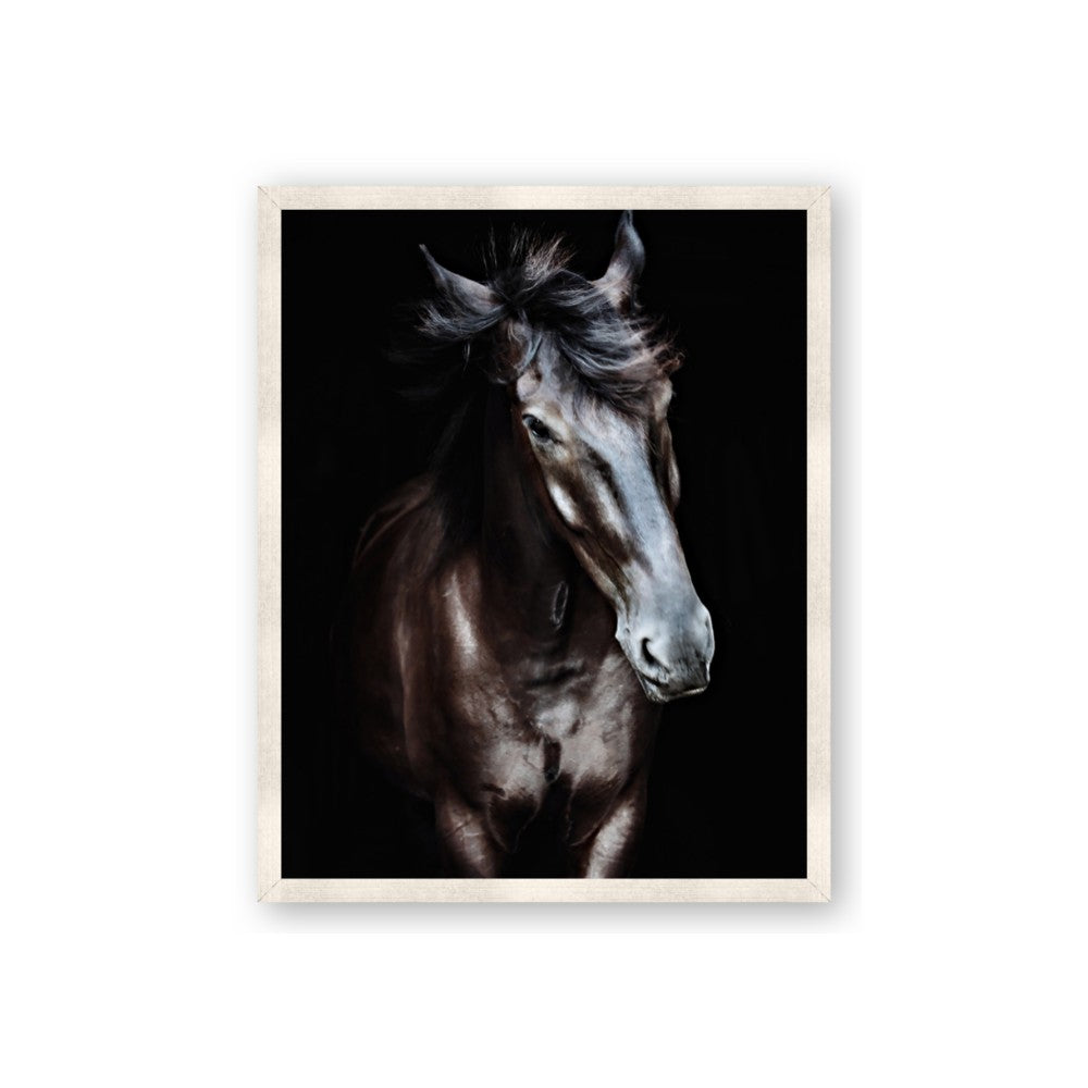 Black Stallion