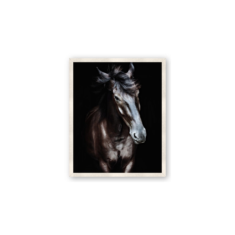 Black Stallion